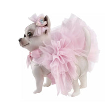 Charger l'image dans la galerie, 22400 Rita Reborn Chihuahua Pink Outfit