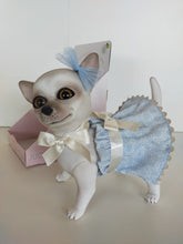 Cargar imagen en el visor de la galería, 22304 Max Reborn Chihuahua Baby Blue Outfit
