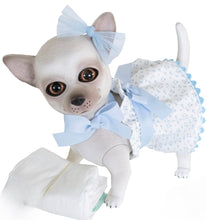 Charger l'image dans la galerie, 22301 Milo Reborn Chihuahua Polka Dot Blue Outfit