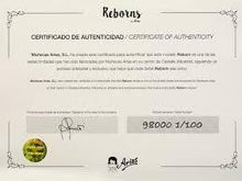 Load image into Gallery viewer, 98118. Diego Reborn Doll