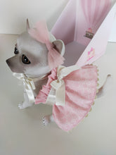 Load image into Gallery viewer, 22305 Moly Reborn Chihuahua Pink Outfit
