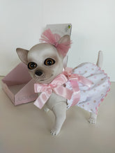 Load image into Gallery viewer, 22302 Luna Reborn Chihuahua White and Pink Outfit
