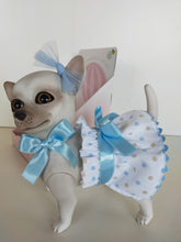 Load image into Gallery viewer, 22303 Daisy Reborn Chihuahua White and Blue Outfit
