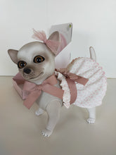 Load image into Gallery viewer, 22300 Bella Reborn Chihuahua Polka Dot Dusty Pink Outfit
