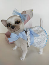 Load image into Gallery viewer, 22301 Milo Reborn Chihuahua Polka Dot Blue Outfit
