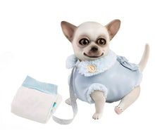 Load image into Gallery viewer, 22101 Toby Reborn Chihuahua Blue Spanish Classic
