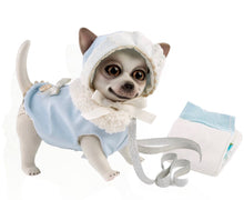 Cargar imagen en el visor de la galería, 22200 Rocky Reborn Chihuahua Blue Spanish Classic
