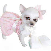 Load image into Gallery viewer, 22305 Moly Reborn Chihuahua Pink Outfit
