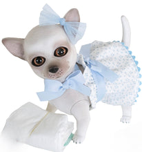 Load image into Gallery viewer, 22301 Milo Reborn Chihuahua Polka Dot Blue Outfit
