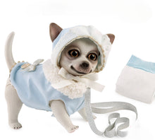 Cargar imagen en el visor de la galería, 22200 Rocky Reborn Chihuahua Blue Spanish Classic
