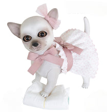 Load image into Gallery viewer, 22300 Bella Reborn Chihuahua Polka Dot Dusty Pink Outfit
