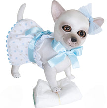 Load image into Gallery viewer, 22303 Daisy Reborn Chihuahua White and Blue Outfit
