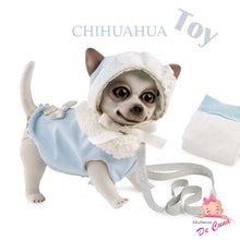 Charger l&#39;image dans la galerie, 22200 Rocky Reborn Chihuahua Blue Spanish Classic
